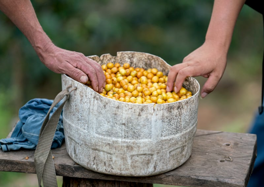 PERU - CAJAMARCA