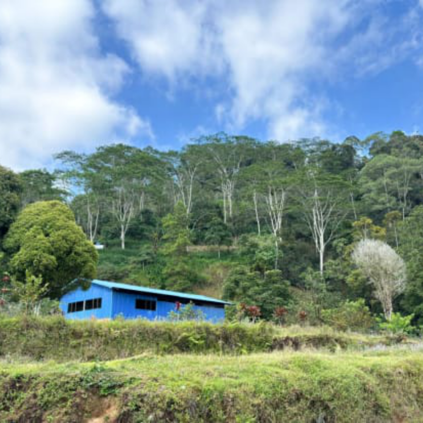 INDONESIA - SULAWESI